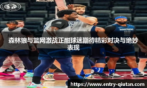 森林狼与篮网激战正酣球迷期待精彩对决与绝妙表现
